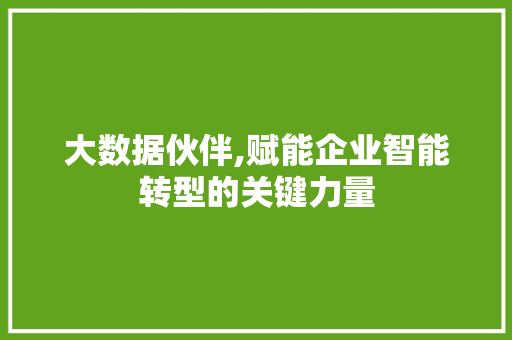 大数据伙伴,赋能企业智能转型的关键力量