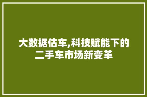 大数据估车,科技赋能下的二手车市场新变革 神马SEO