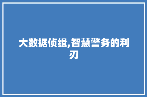 大数据侦缉,智慧警务的利刃