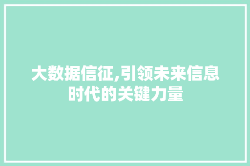 大数据信征,引领未来信息时代的关键力量