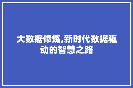 大数据修炼,新时代数据驱动的智慧之路 神马SEO