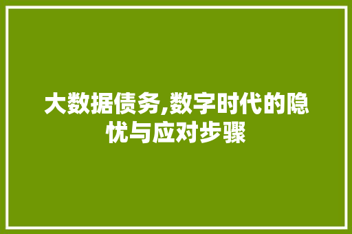 大数据债务,数字时代的隐忧与应对步骤