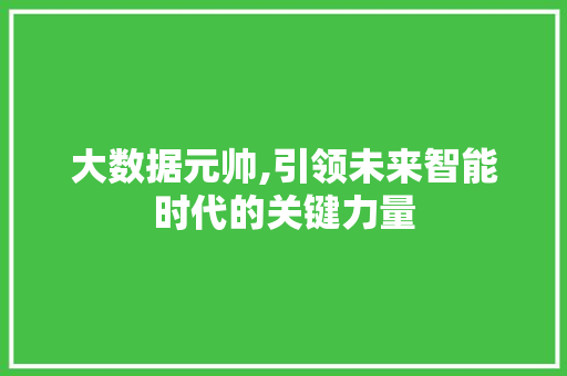大数据元帅,引领未来智能时代的关键力量 神马SEO