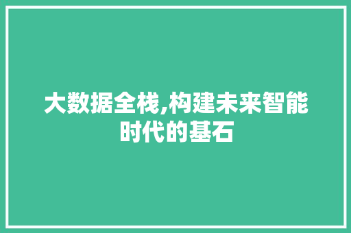 大数据全栈,构建未来智能时代的基石