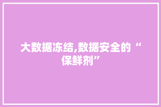 大数据冻结,数据安全的“保鲜剂” 神马SEO
