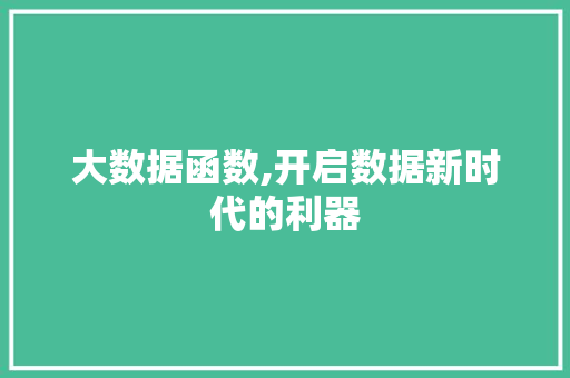 大数据函数,开启数据新时代的利器