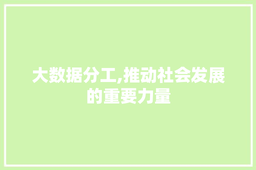 大数据分工,推动社会发展的重要力量