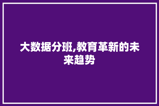 大数据分班,教育革新的未来趋势