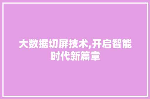 大数据切屏技术,开启智能时代新篇章 GoogleSEO