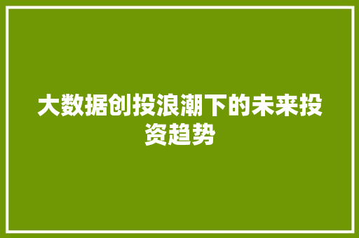 大数据创投浪潮下的未来投资趋势