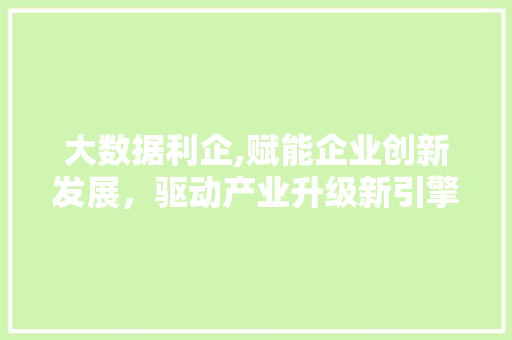 大数据利企,赋能企业创新发展，驱动产业升级新引擎