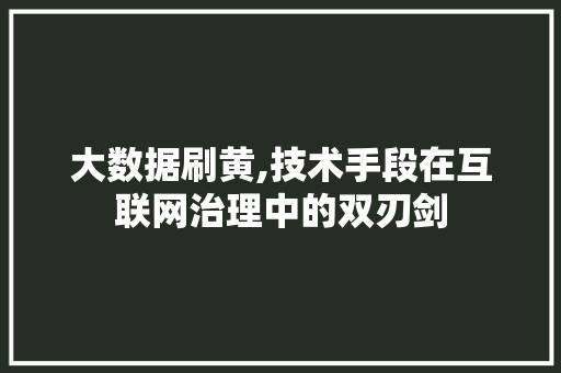 大数据刷黄,技术手段在互联网治理中的双刃剑