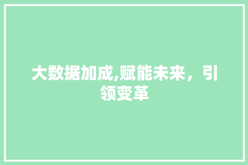 大数据加成,赋能未来，引领变革 必应SEO