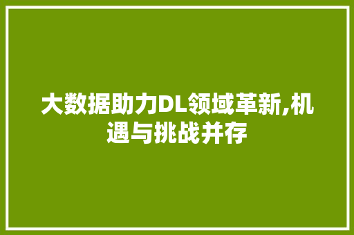 大数据助力DL领域革新,机遇与挑战并存