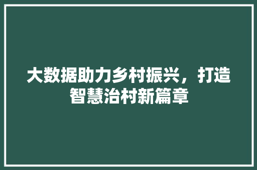 大数据助力乡村振兴，打造智慧治村新篇章 百度SEO