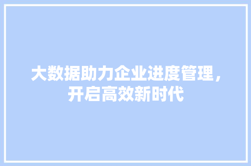 大数据助力企业进度管理，开启高效新时代 GoogleSEO