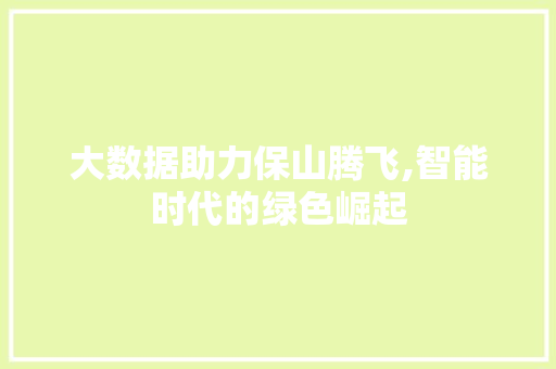 大数据助力保山腾飞,智能时代的绿色崛起