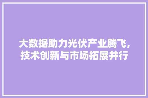 大数据助力光伏产业腾飞,技术创新与市场拓展并行 神马SEO