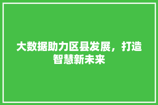 大数据助力区县发展，打造智慧新未来