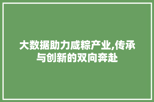 大数据助力咸粽产业,传承与创新的双向奔赴 搜狗SEO