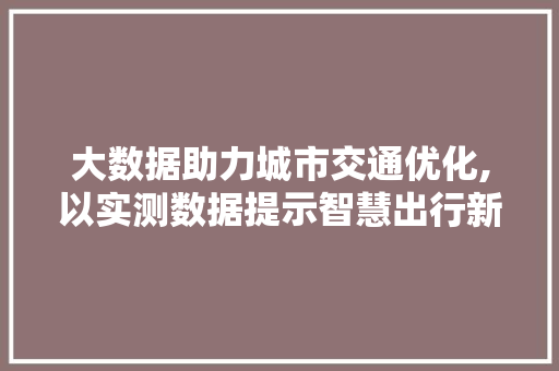 大数据助力城市交通优化,以实测数据提示智慧出行新篇章 GoogleSEO