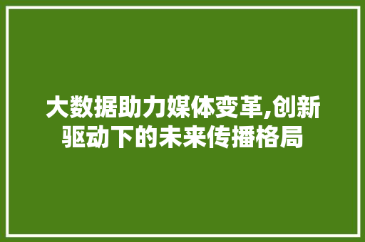 大数据助力媒体变革,创新驱动下的未来传播格局