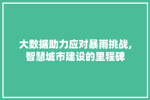 大数据助力应对暴雨挑战,智慧城市建设的里程碑