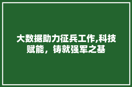 大数据助力征兵工作,科技赋能，铸就强军之基