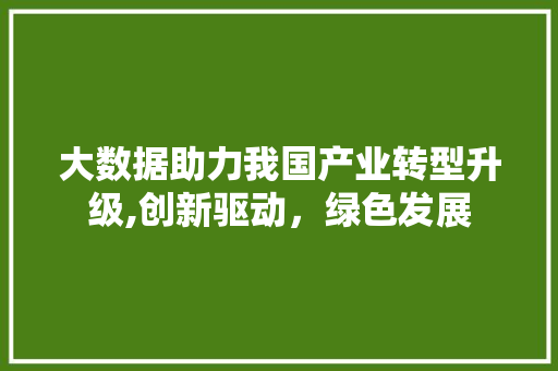大数据助力我国产业转型升级,创新驱动，绿色发展 必应SEO