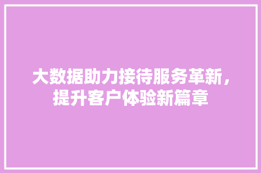 大数据助力接待服务革新，提升客户体验新篇章 GoogleSEO