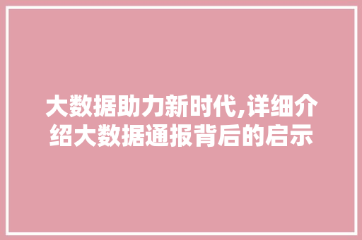 大数据助力新时代,详细介绍大数据通报背后的启示 必应SEO