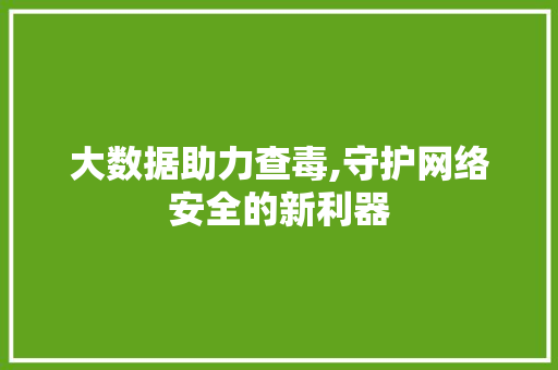 大数据助力查毒,守护网络安全的新利器