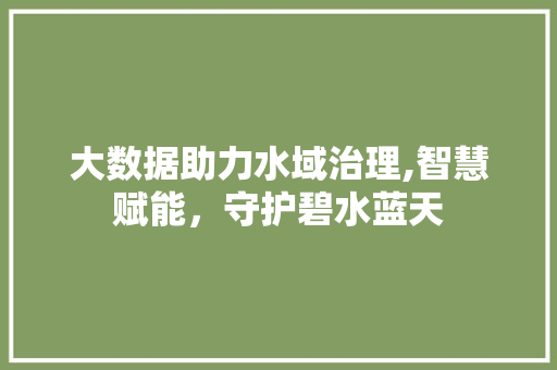 大数据助力水域治理,智慧赋能，守护碧水蓝天 GoogleSEO