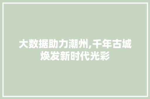 大数据助力潮州,千年古城焕发新时代光彩