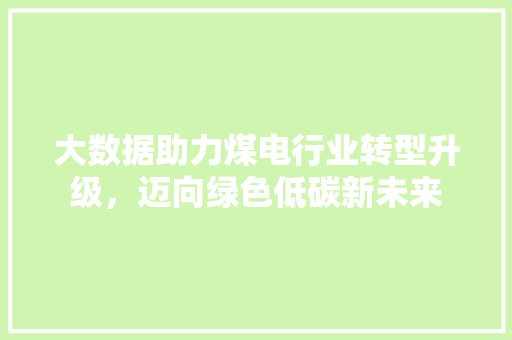 大数据助力煤电行业转型升级，迈向绿色低碳新未来