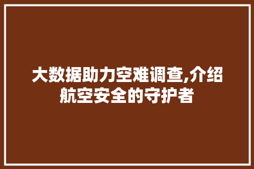 大数据助力空难调查,介绍航空安全的守护者 百度SEO
