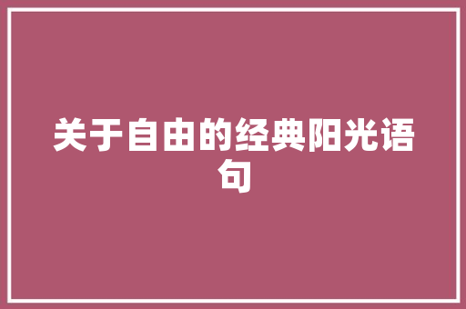 大数据助力落户政策优化，描绘未来城市新格局 百度SEO