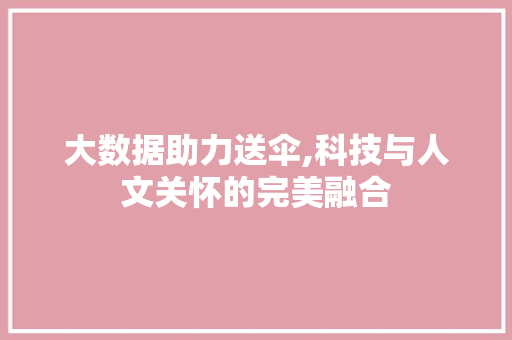 大数据助力送伞,科技与人文关怀的完美融合