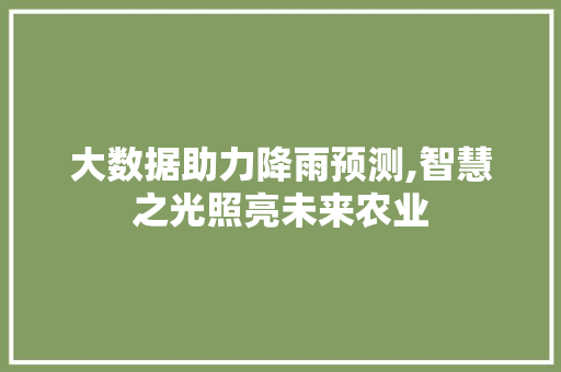大数据助力降雨预测,智慧之光照亮未来农业