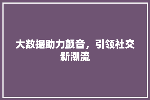 大数据助力颤音，引领社交新潮流 必应SEO