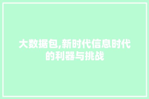 大数据包,新时代信息时代的利器与挑战 神马SEO