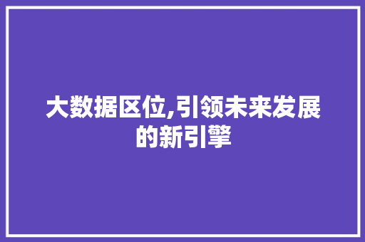 大数据区位,引领未来发展的新引擎