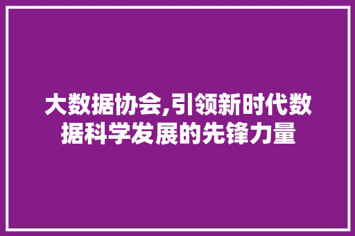 大数据协会,引领新时代数据科学发展的先锋力量