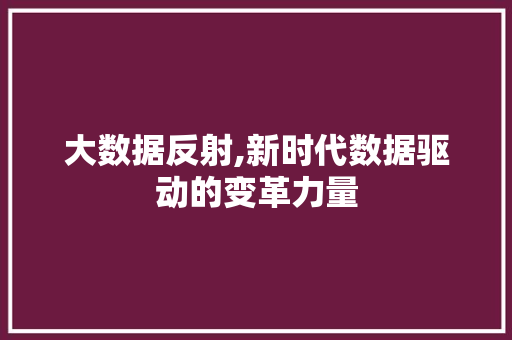 大数据反射,新时代数据驱动的变革力量