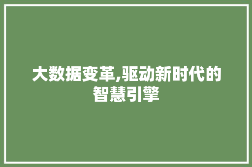 大数据变革,驱动新时代的智慧引擎