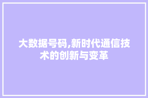 大数据号码,新时代通信技术的创新与变革