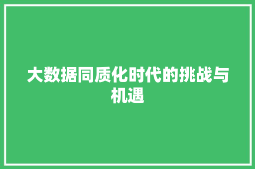 大数据同质化时代的挑战与机遇