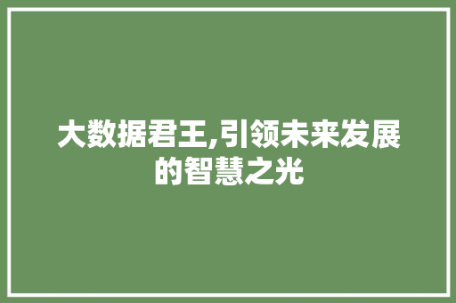 大数据君王,引领未来发展的智慧之光