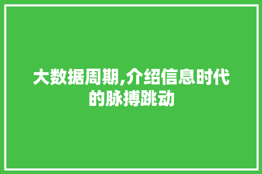 大数据周期,介绍信息时代的脉搏跳动