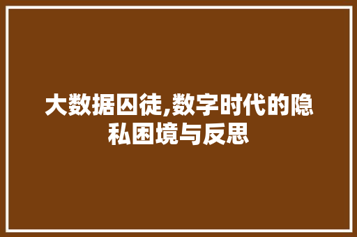 大数据囚徒,数字时代的隐私困境与反思
